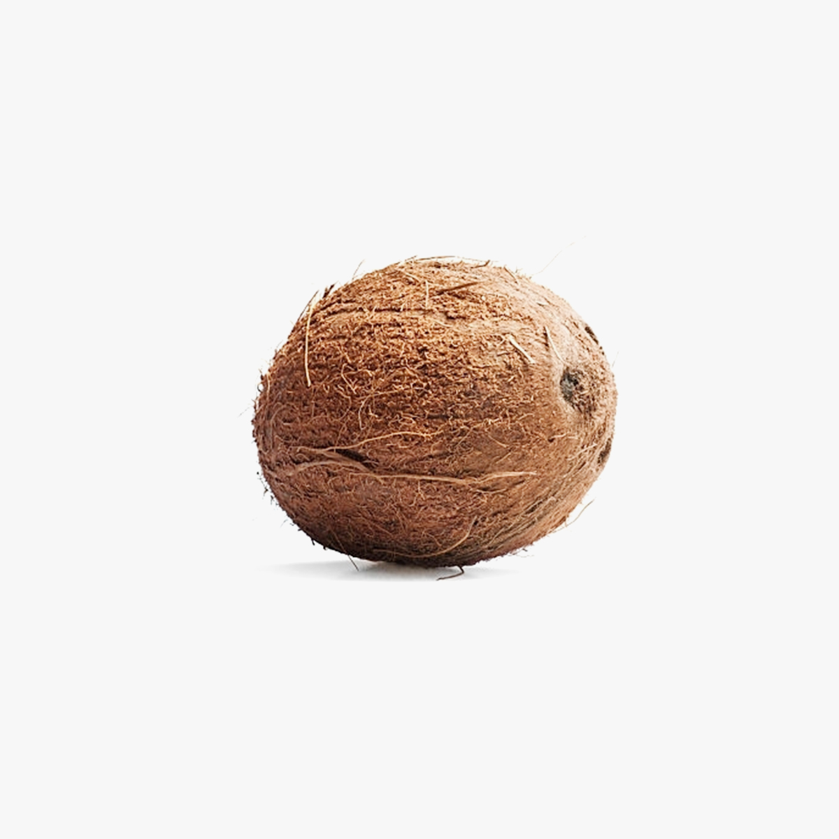 01-Coconut