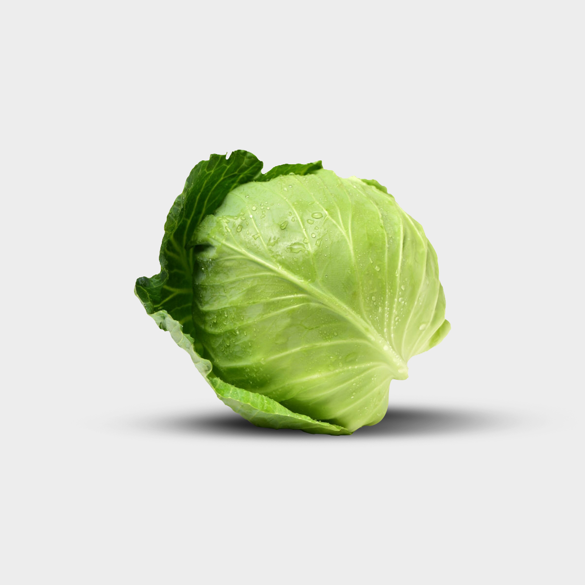 02 Cabbage