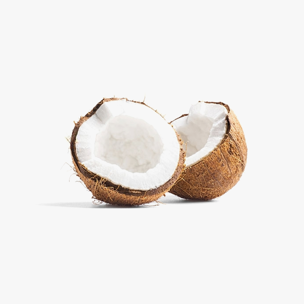 02-Coconut