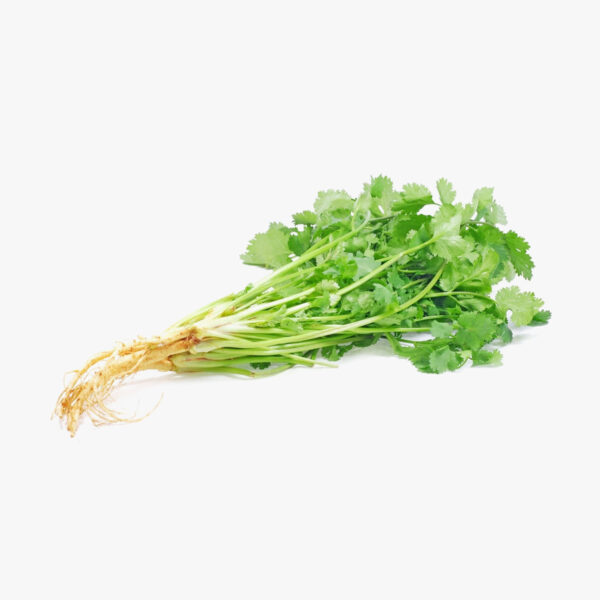 Coriander/கொத்தமல்லி- Small Bunch