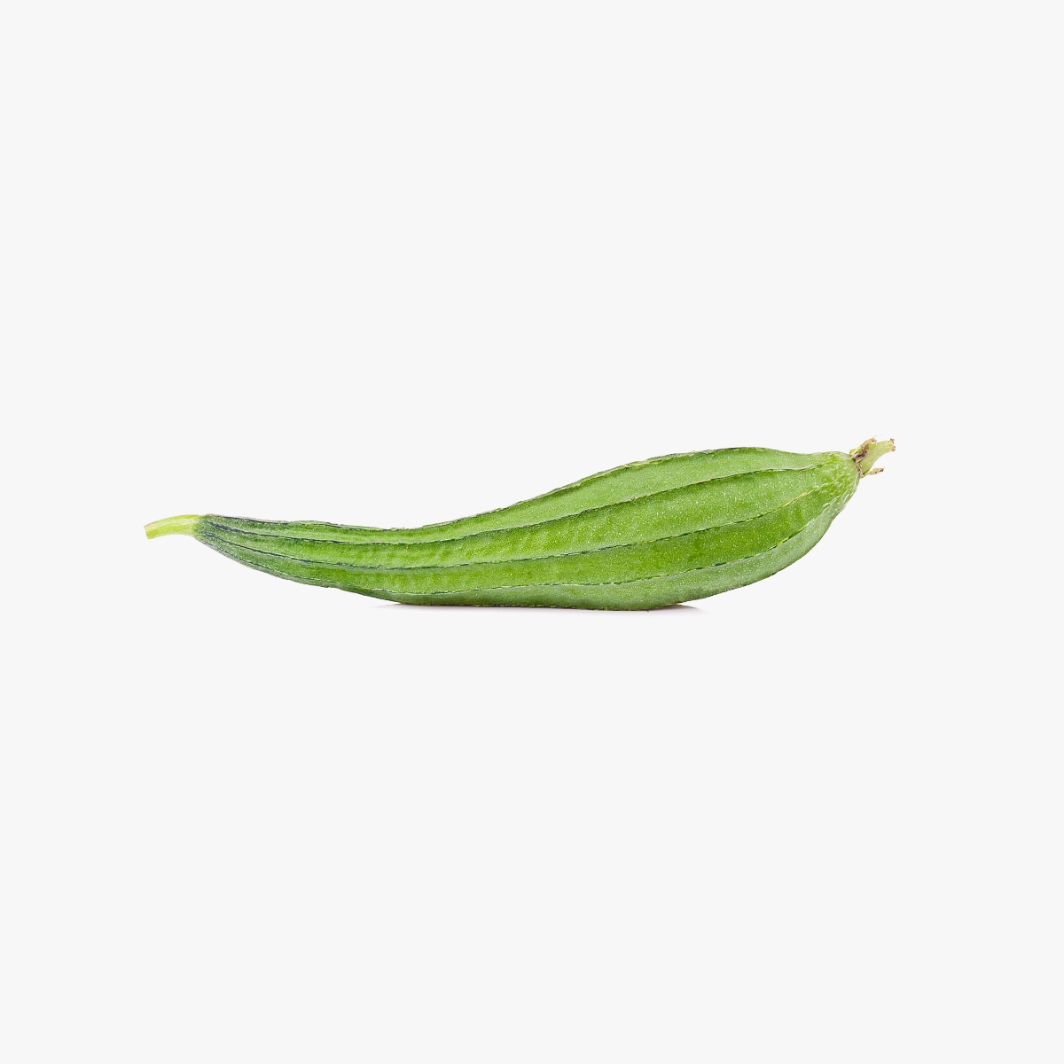 02-Ridge-Gourd