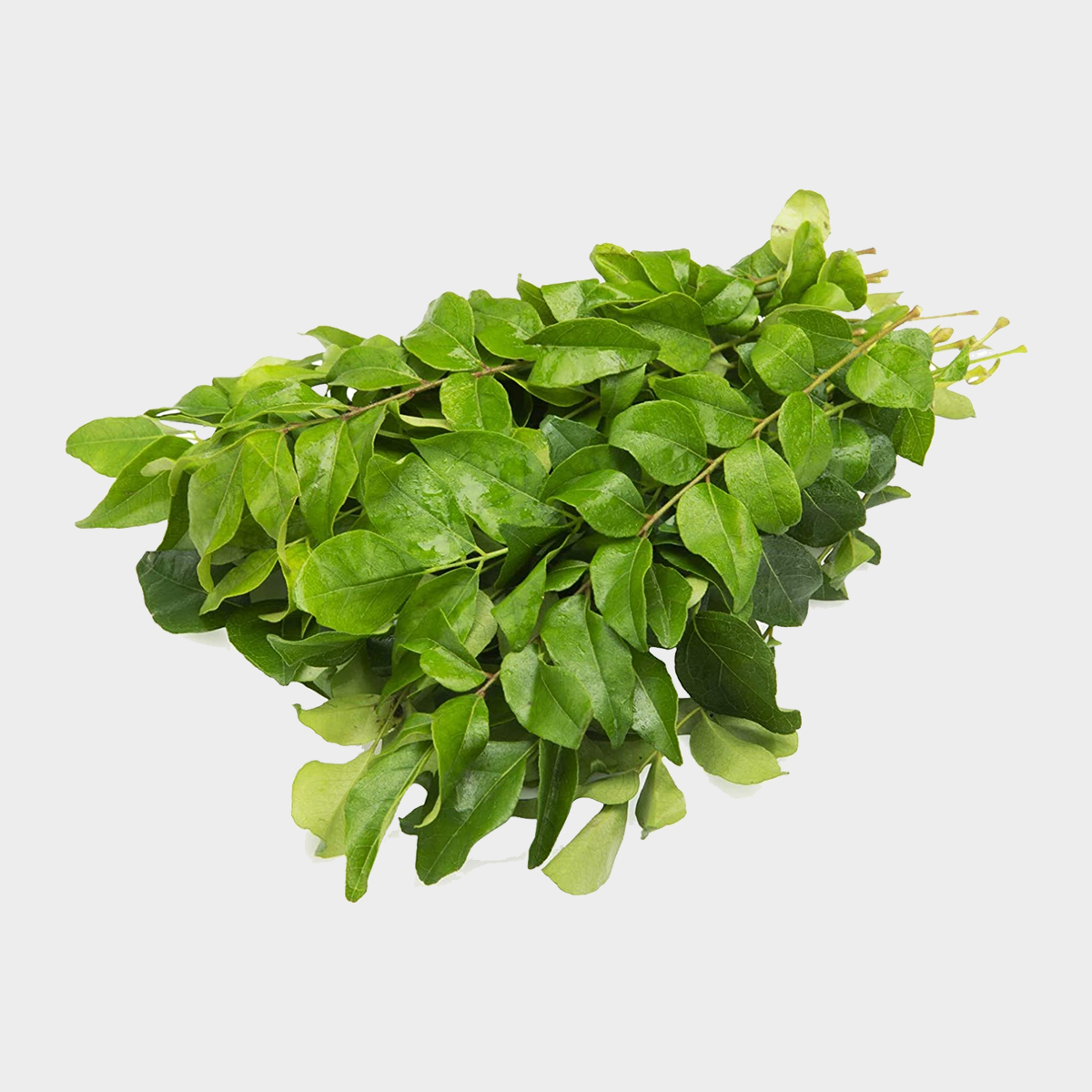 Curry-Leaves